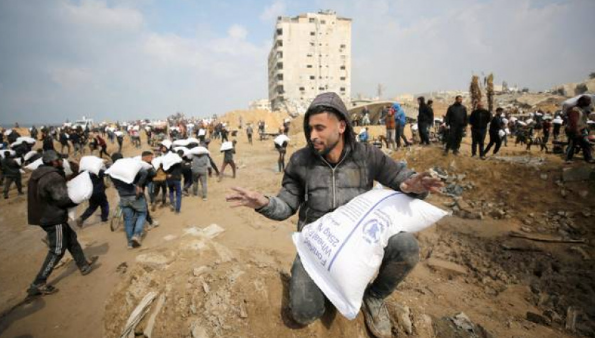 Turkey Offers Full Support for Ceasefire Efforts in Gaza Turkey Offers Full Support for Ceasefire Efforts in Gaza