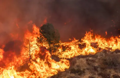 Fire Forces Evacuations Tens of Thousands in Northern L.A Hughes Fire Forces Evacuations for Tens of Thousands in Northern L.A